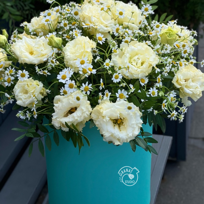 РАДОСТЬ ЛЕТА