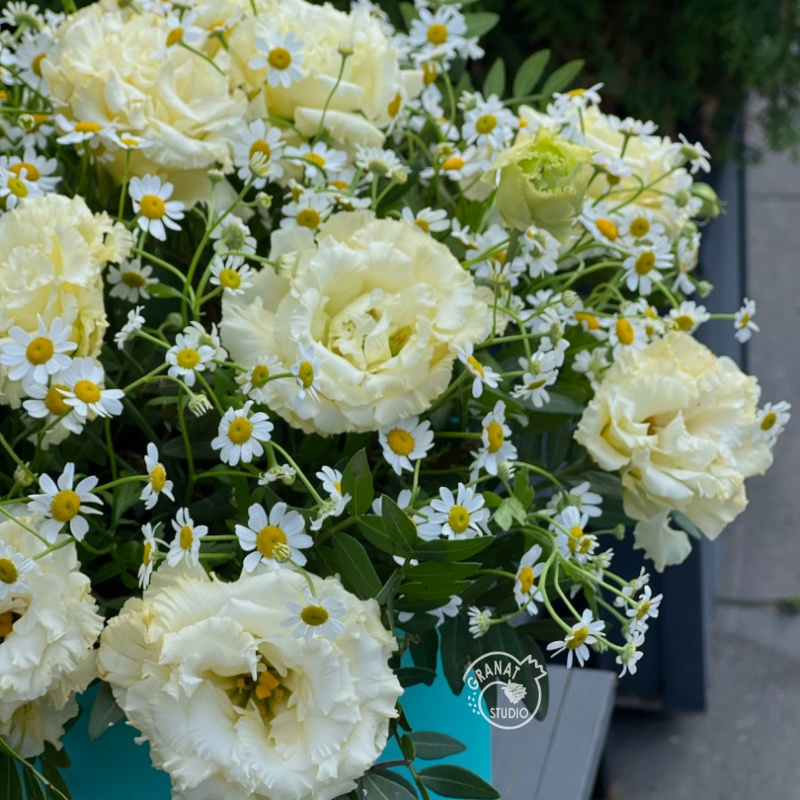 РАДОСТЬ ЛЕТА 1