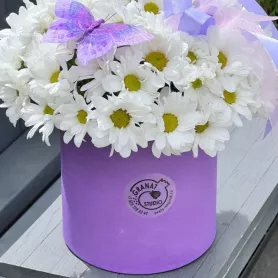 БЕЛОСНЕЖНОЕ ДИВО от интернет-магазина «Гранат» в Ногинске