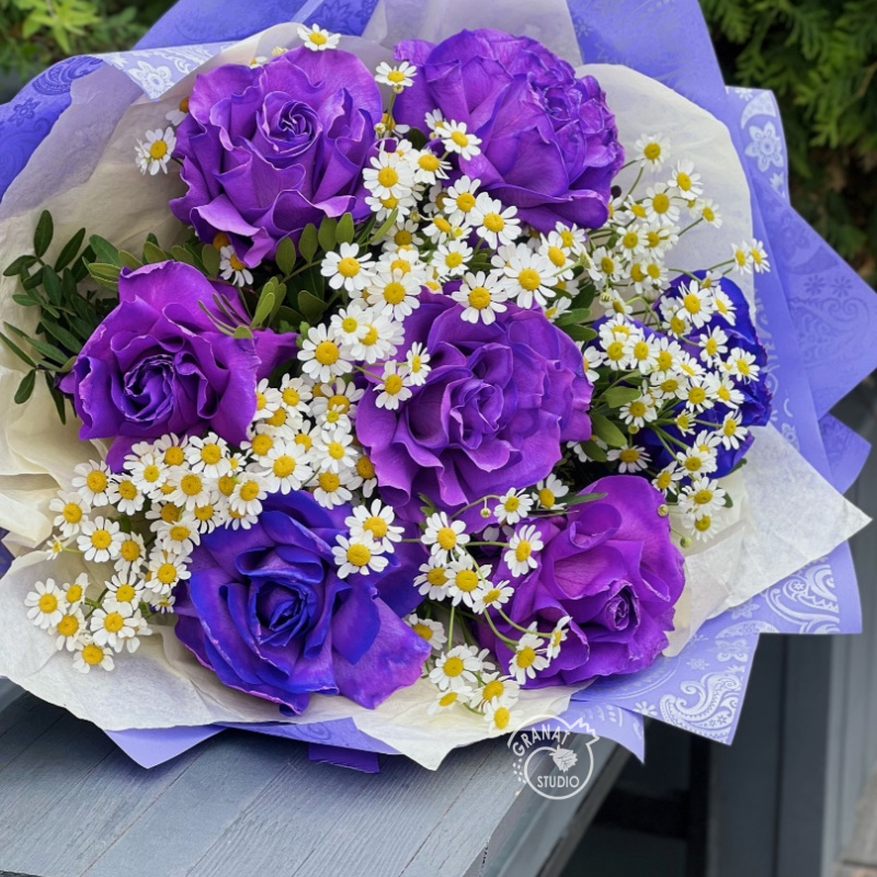 МАГНОЛИЕВАЯ ФАНТАЗИЯ