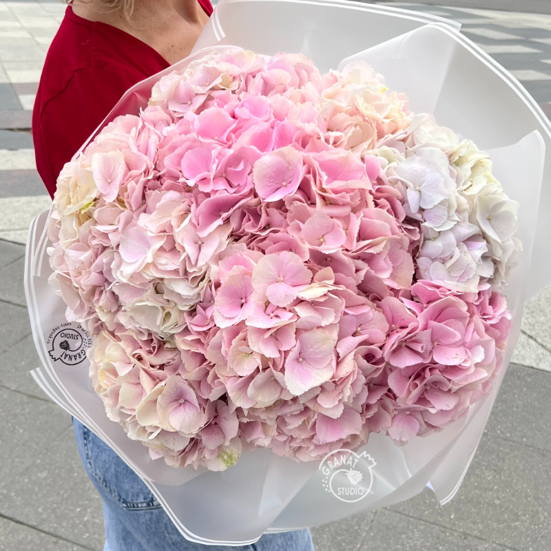 МОНО БУКЕТ ИЗ ГОРТЕНЗИИ