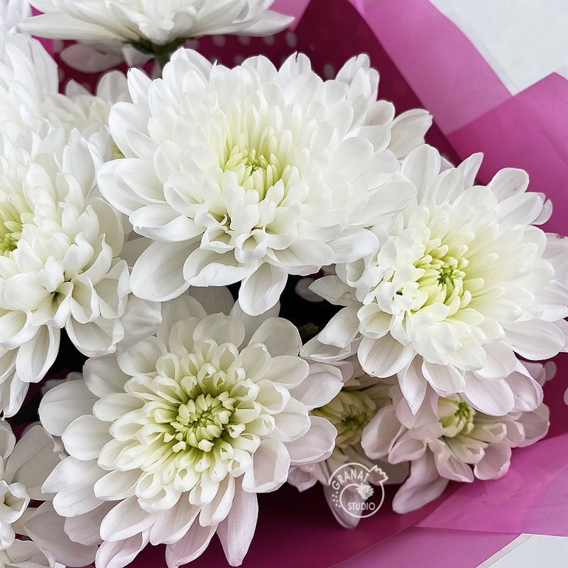 Букет из 3 белых хризантем 1