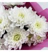 Букет из 3 белых хризантем 1