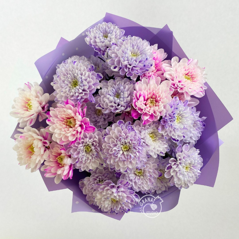 Букет сиреневых хризантем 1