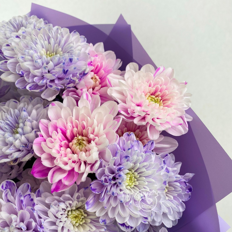 Букет сиреневых хризантем 2
