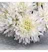 Букет из одноголовых хризантем 2