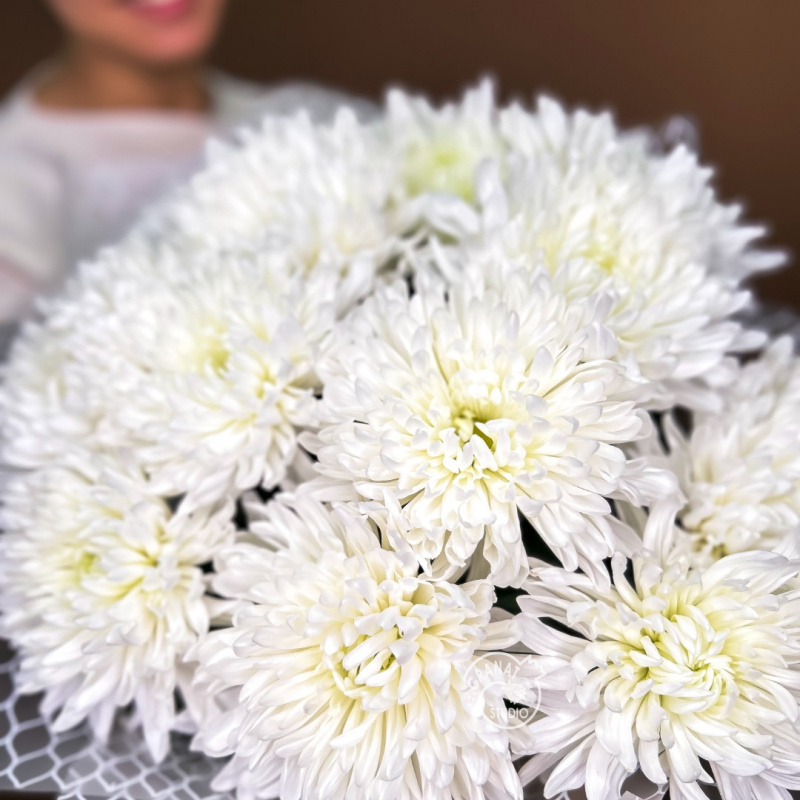 Букет из белых хризантем «Снежность»