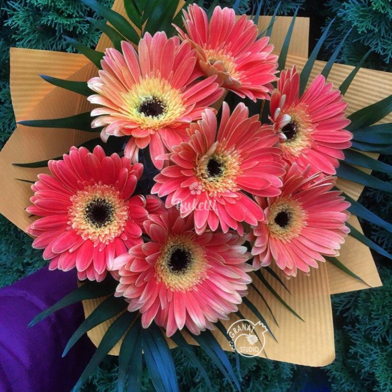 Монобукет с герберами &laquo;Магия прикосновений&raquo;