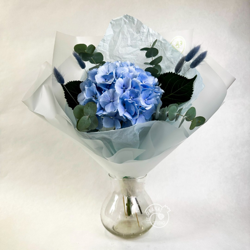 Голубая гортензия