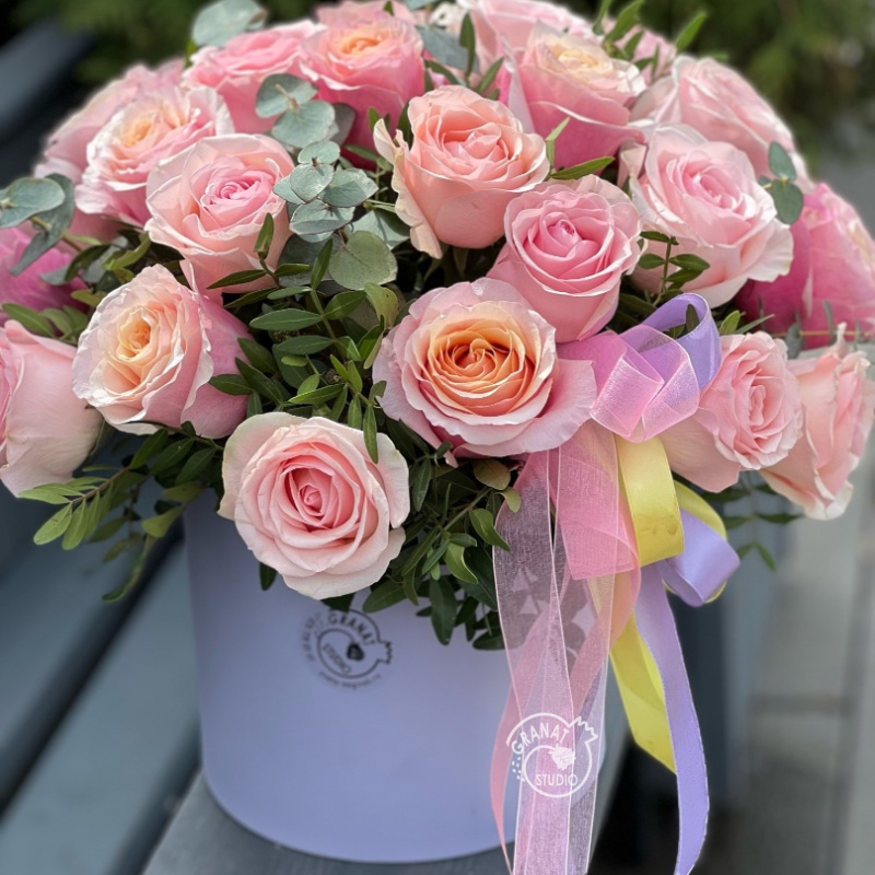 ПОЯС ВЕНЕРЫ