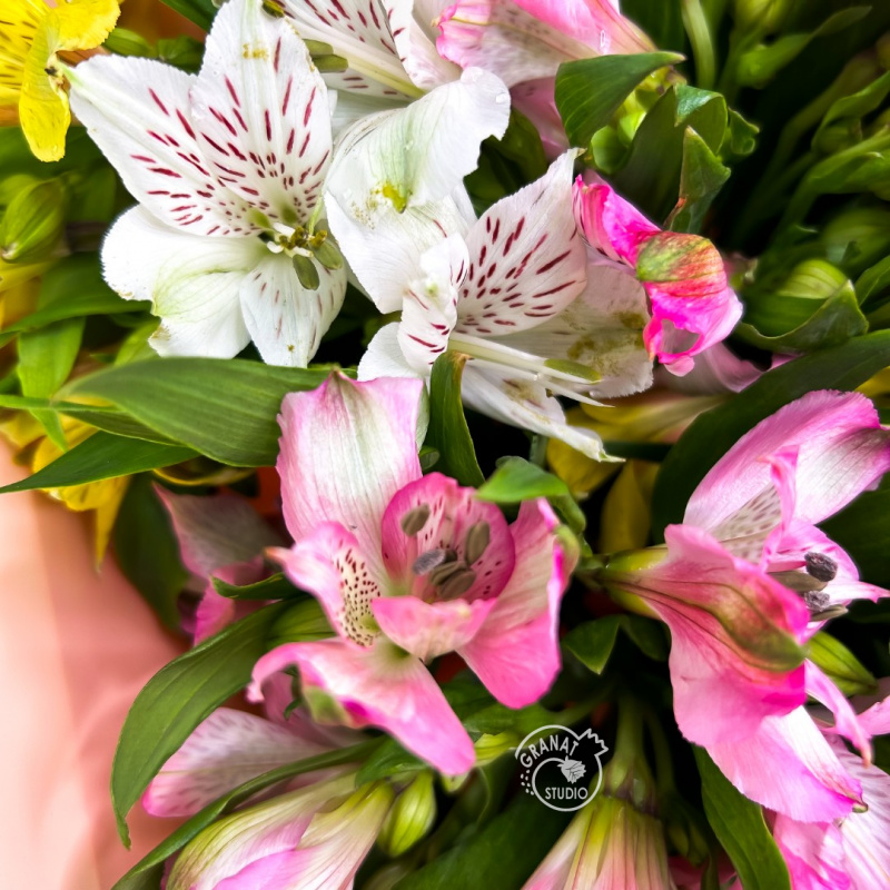 Букет из альстромерий микс 2