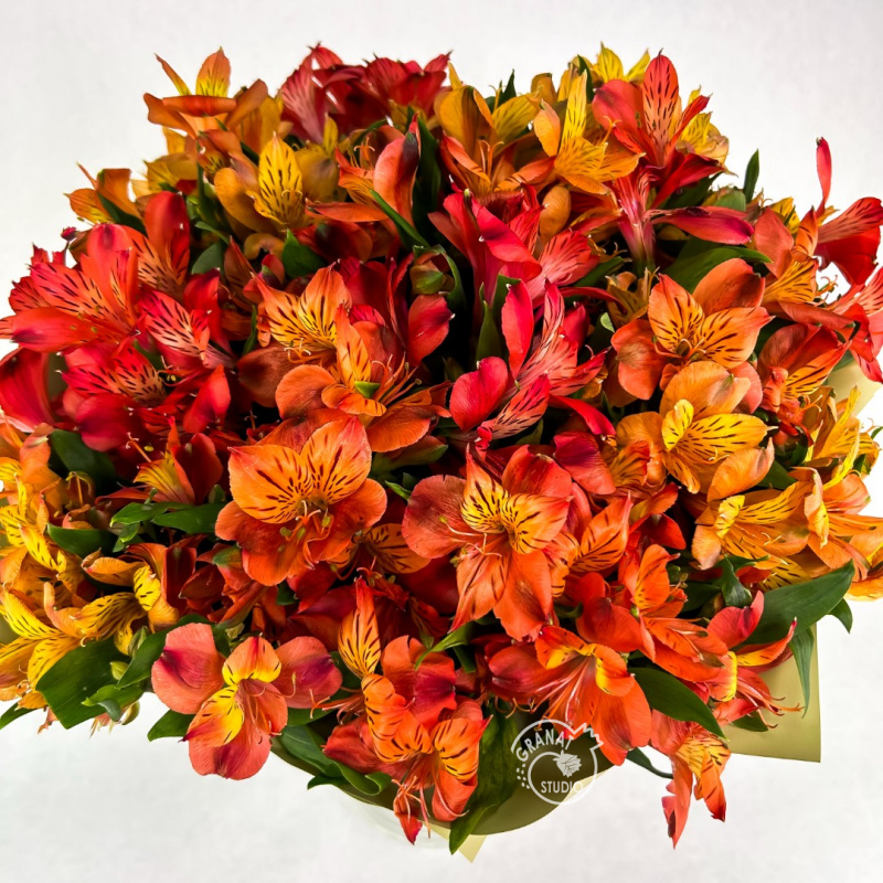 Букет из 19 альстромерий 1