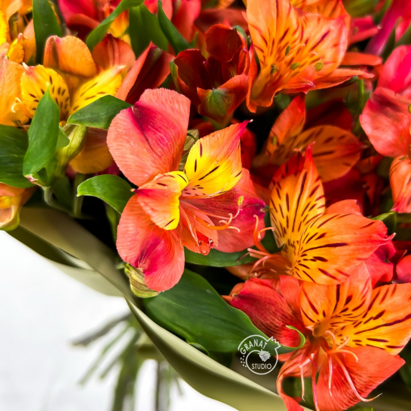 Букет из 19 альстромерий 3