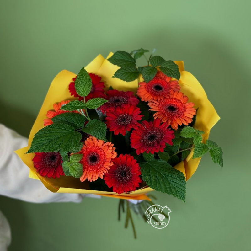 Букет из 11 гербер