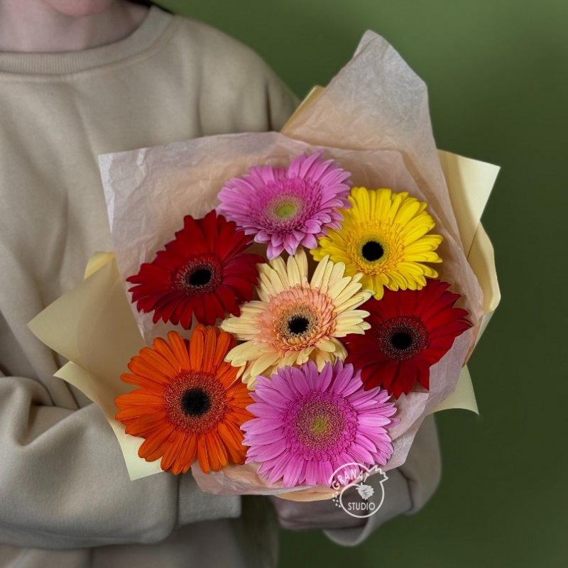 Букет из разноцветных гербер 1