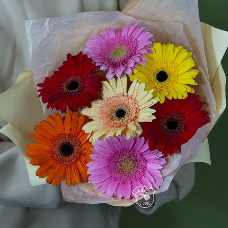 Букет из разноцветных гербер 2