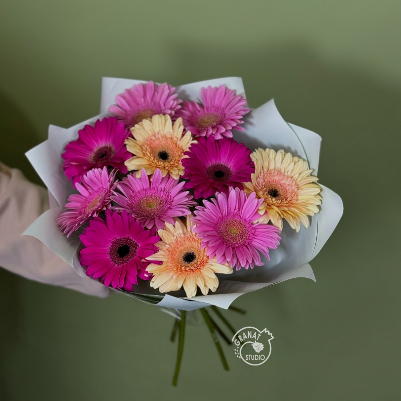 Букет из 11 разноцветных гербер