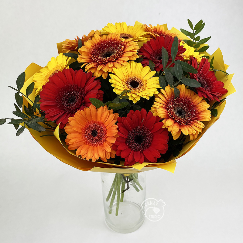 Букет из 13 гербер