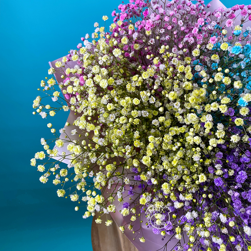 Букет из разноцветной гипсофилы 1