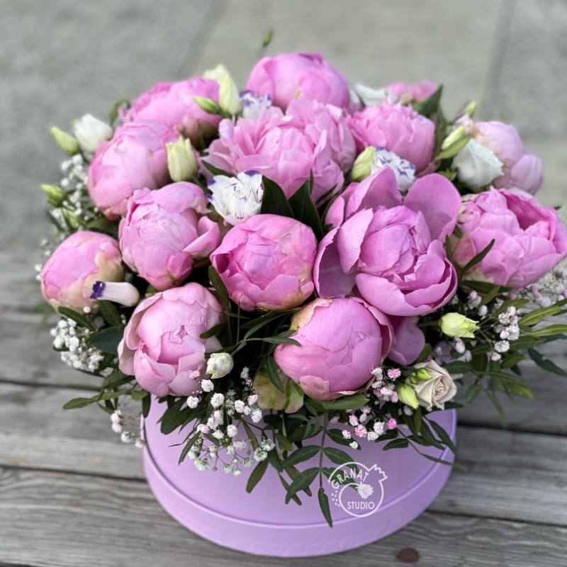 РОЗОВЫЕ НОЧИ1