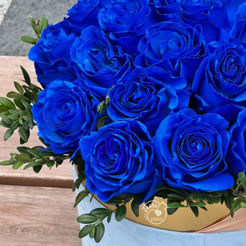 СИНЯЯ ВЕЧНОСТЬ 1