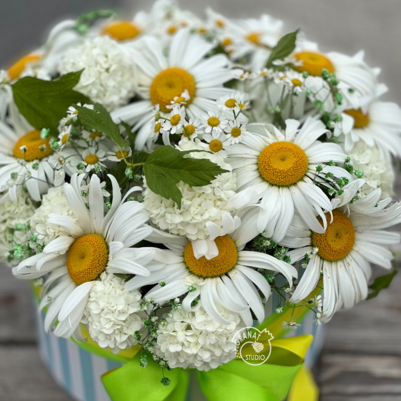 Цветочная композиция «Ромашковое поле»
