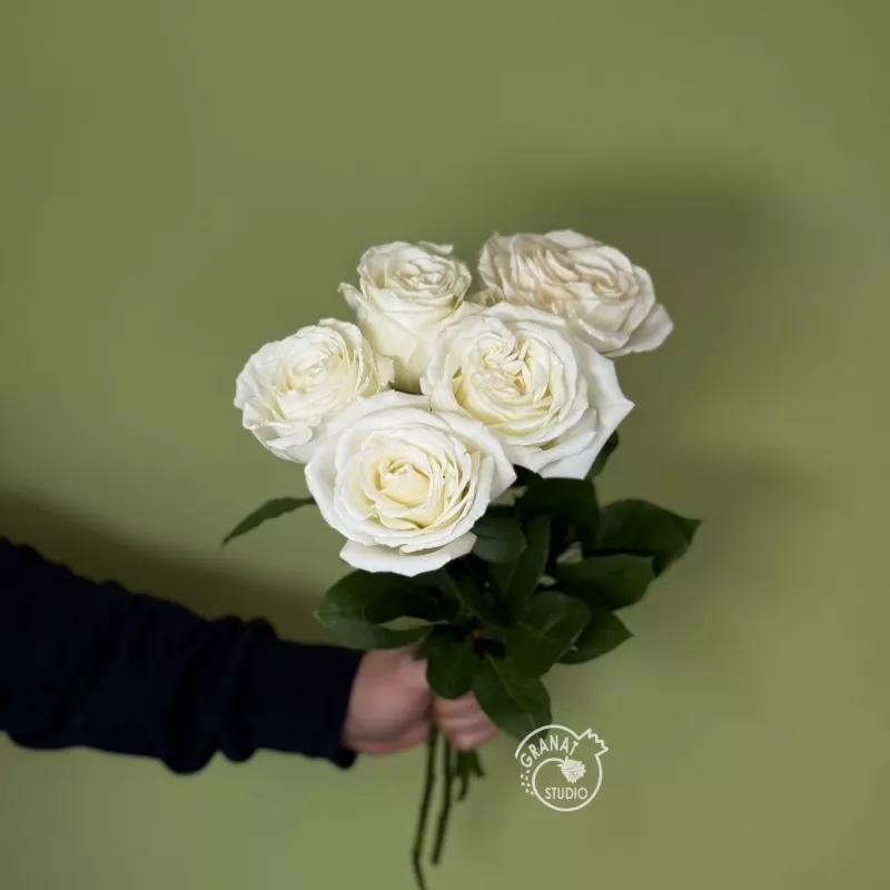 5 белых роз