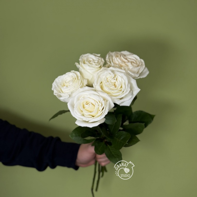 5 белых роз