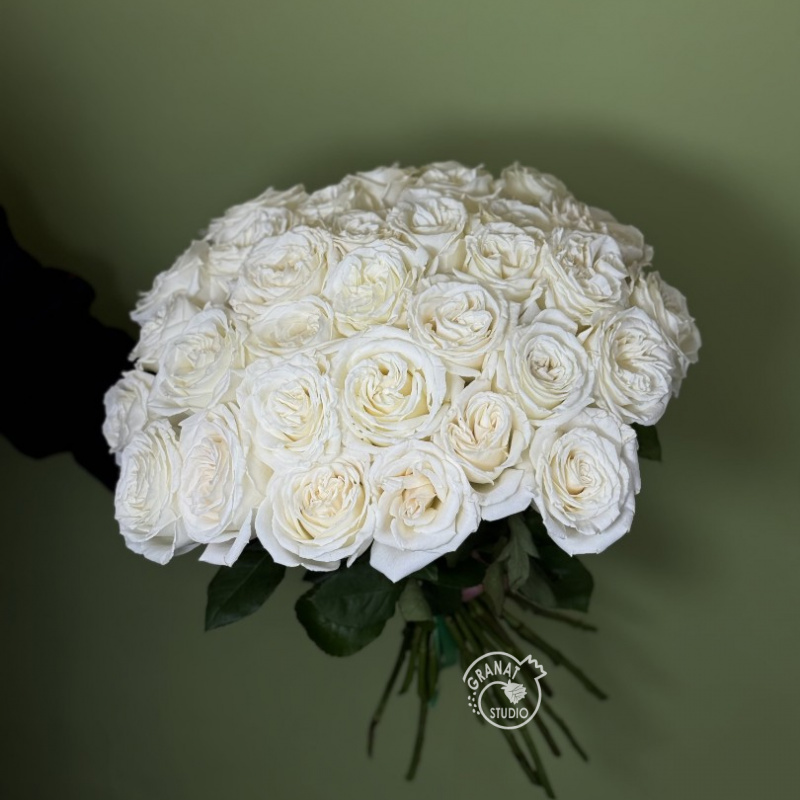 31 белая роза