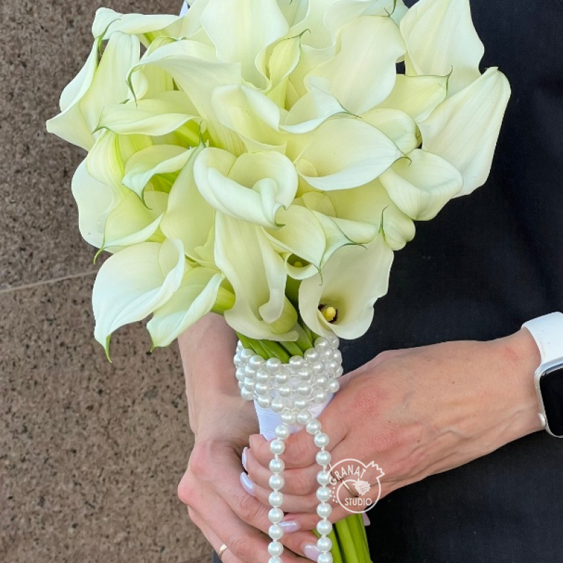 БЕЛОСНЕЖКА