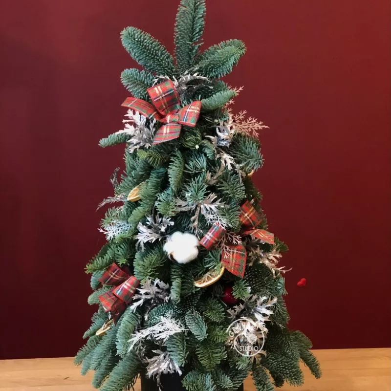 Композиция из натуральной ели  &laquo;Чудо&raquo;