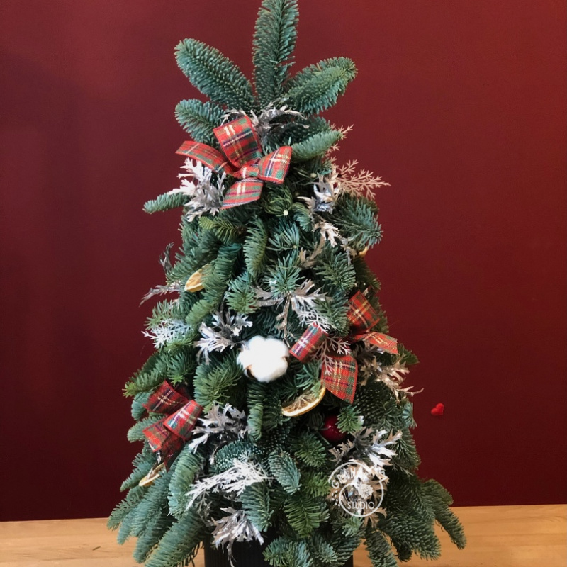 Композиция из натуральной ели  &laquo;Чудо&raquo;