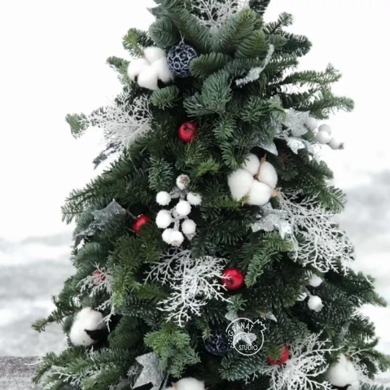 НОВОГОДНЕЕ ЧУДО