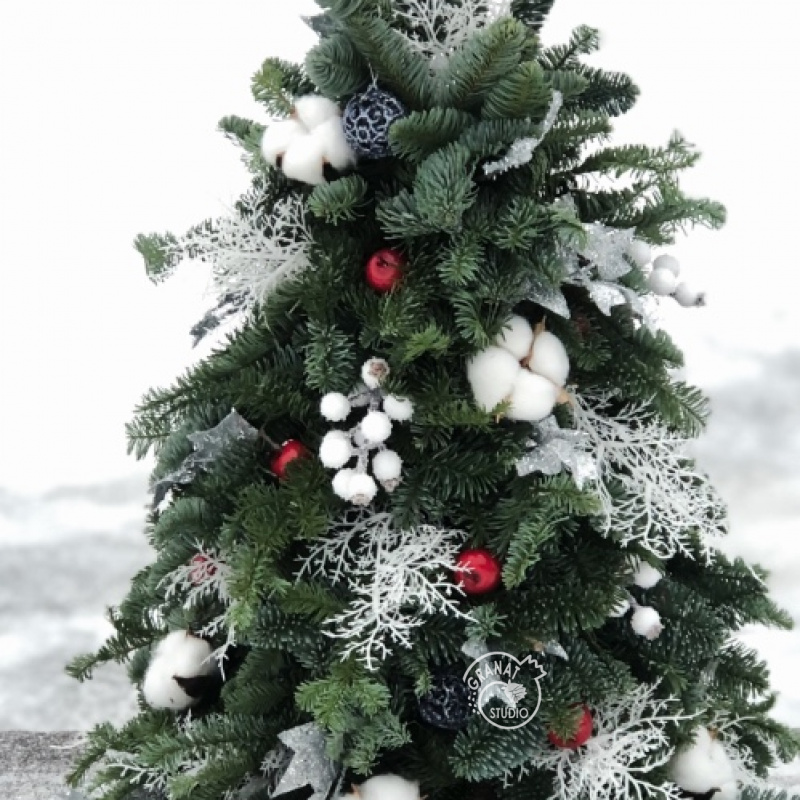 НОВОГОДНЕЕ ЧУДО