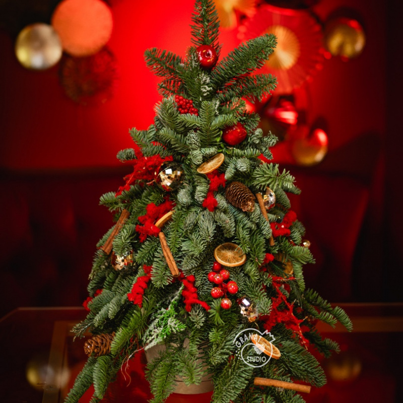 НОВОГОДНЕЕ СЧАСТЬЕ