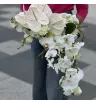 Белые тропические цветы