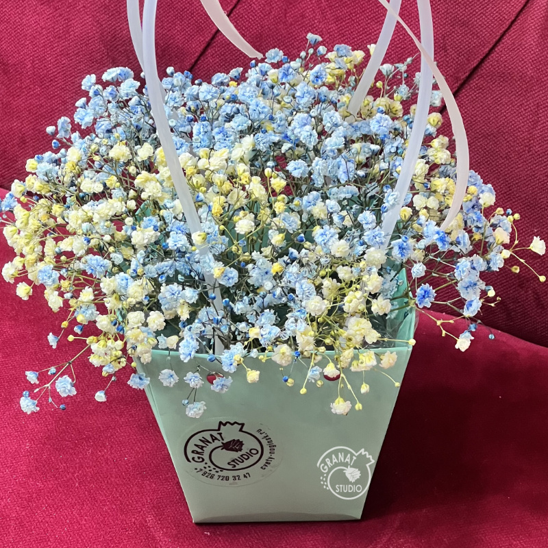 Облако гипсофил