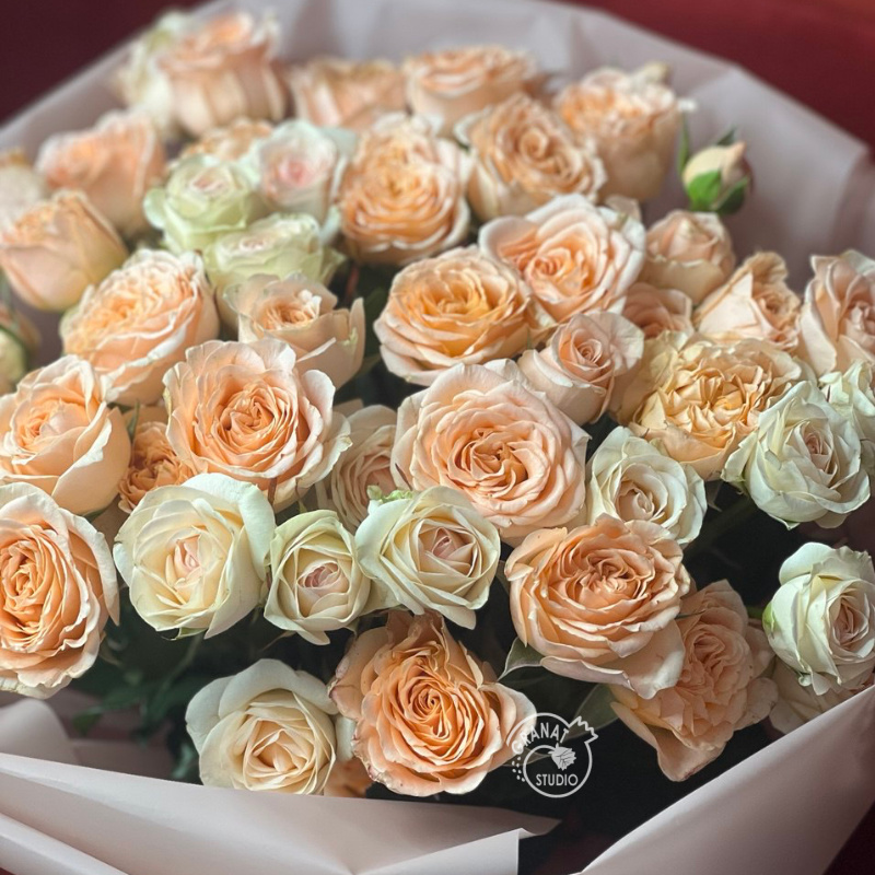 Персиковые грезы 1