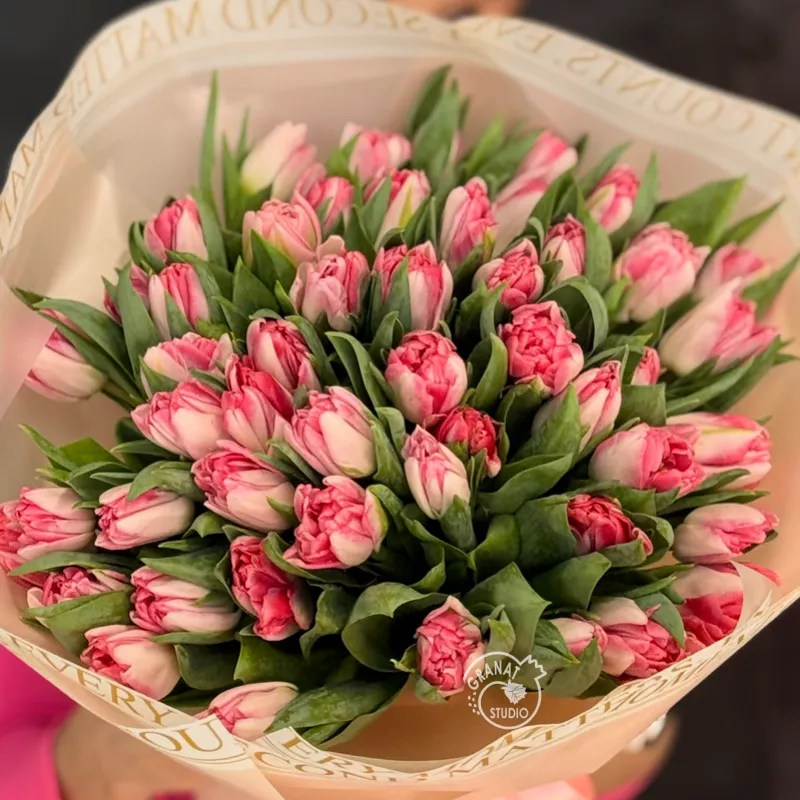 Розовые тюльпаны
