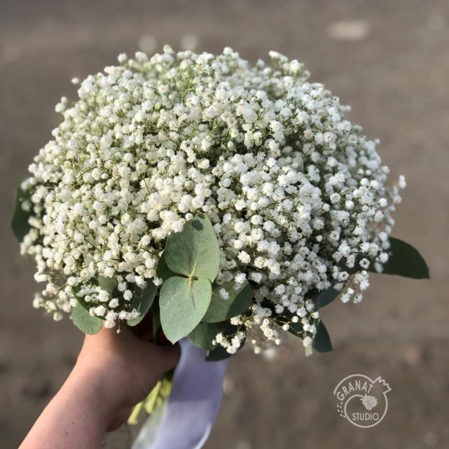 Букет «Гипсофила»