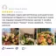 whatsapp-image-2022-06-21-at-19.28.45